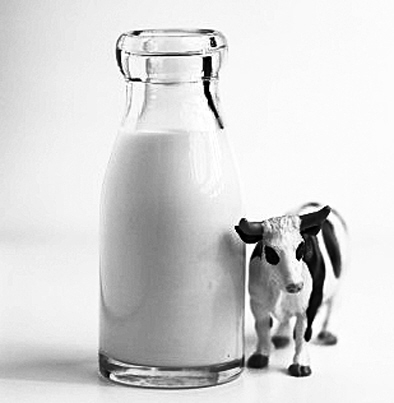 ��ţ��ѡ�׽조Ӱ���й����ʽʮ��Ʒ�ơ�