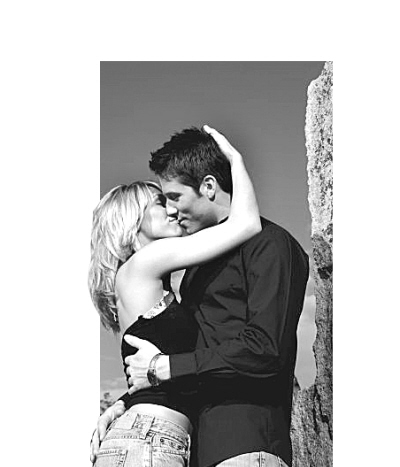 ������Ҫ��������