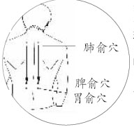 ��ѹѨλ��ֹ��