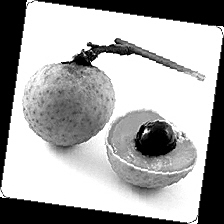 ����ϴ�ɾ�Ƥ�ٳԣ�ʳƷ��ȫ��