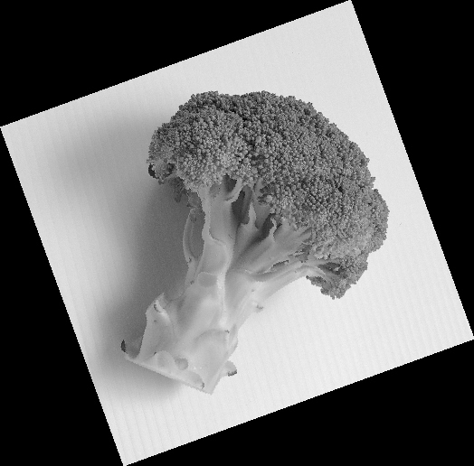 7ɫ���߱���7������