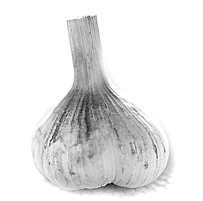 7ɫ���߱���7������