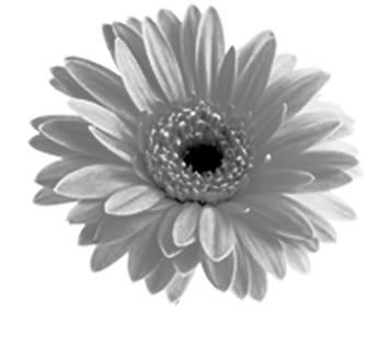 Ů��Ϊ�������Ա���