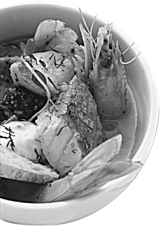 ̩����������������������ʳ��