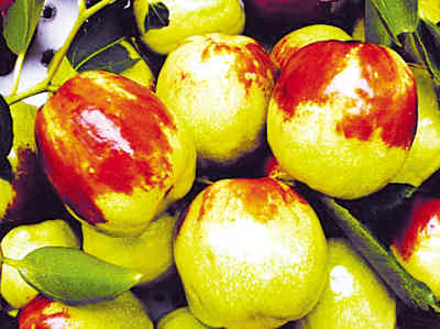 �������������