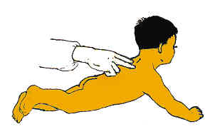 ë��������ֹ��