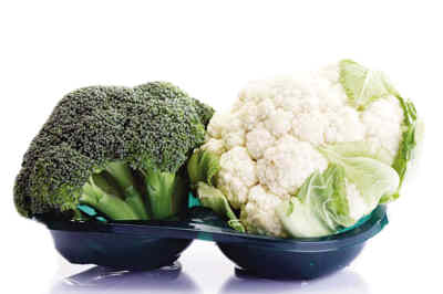 �������Ȳ˻�������