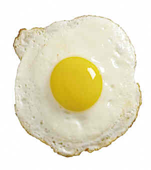 ���֡���ʳ�����ȷ�Է�