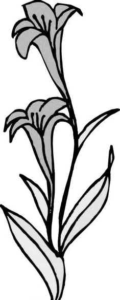 ���Լ������������ꡱ���������