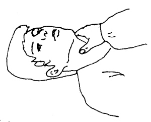 �ƺ��������ף�������Ħ��