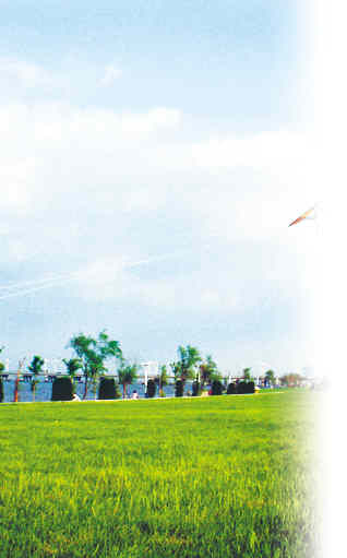 �����˷��˶�����