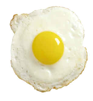 ÿ��һ����������