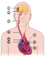 Ϊ�ķ��˲���˨���ơ�������