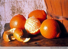 
	
   	����Ӫ����ʳ