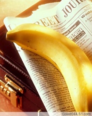 
	
   	����Ӫ����ʳ