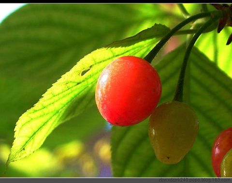 
	
   	Ӫ������ˮ��-ӣ��