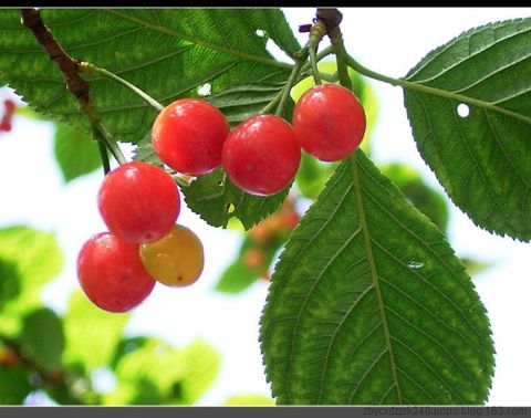 
	
   	Ӫ������ˮ��-ӣ��