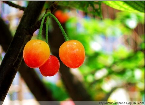 
	
   	Ӫ������ˮ��-ӣ��