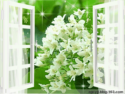 
	
   	��û���뵽�Ľ�����ʶ