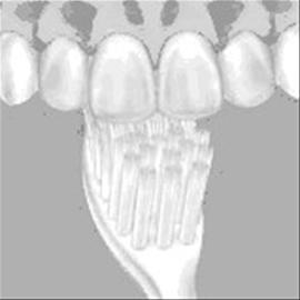 ��Ϊ��ȷ��ˢ������