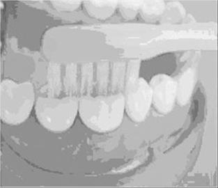 ��Ϊ��ȷ��ˢ������