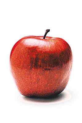 ÿ����ƻ���������Σ��ǳ���ʾ��