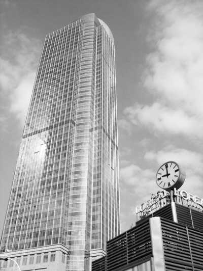 ����Ӣ����ͯ���Ĳ�