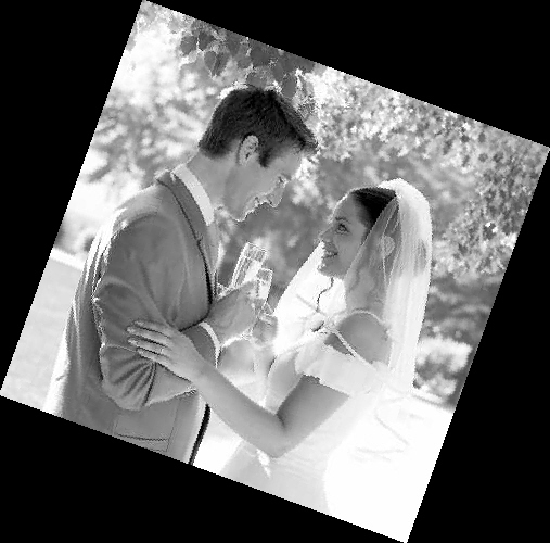 ��������ǵ�����