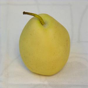 
	
   	���ӵ�ҩ�ü�ֵ��ʳ���鷽(ͼ) 