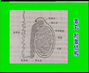 ��غ�ṹͼ��������