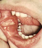 ��ǻ����ͼƬ����Կ���ʲô��