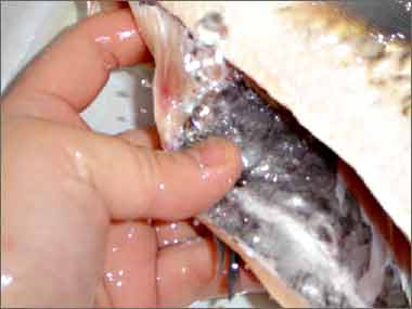                                             �⼸�����ж�����ò�Ҫ��                        