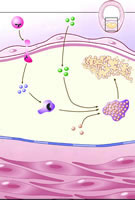 �������绹��Ԥ���Ĺ�����