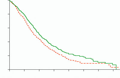 ��������NSCLC �����������ϻ����о�����