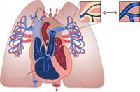��ע�ζ�����ѹ ��ս��ϣ������(��ƪ)
