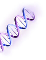 �����롱��֢����