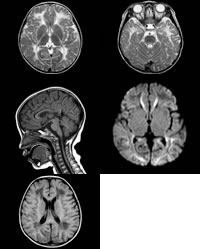 �����������԰��ʲ�һ��