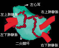 �����ķ�������������ʮ��֮ͻ�����չ