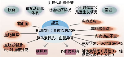 ϸ����л�ۺ���