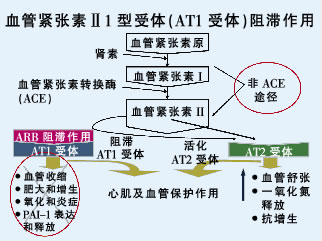 ��ѹ��꼰ȫ������ٱ���������ѹ�����ٴ��������Դ