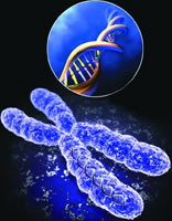 ���й��������йصĻ���λ��ȷ��