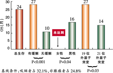 NSCLC����: 2008���յĻ��������� ����NSCLCҩ��������Ե���ս��ϣ��