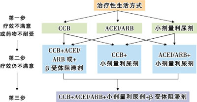 �����¡��й������Ѫѹ����ר�ҹ�ʶ����CCB�������Ѫѹ�����е���Ҫ����