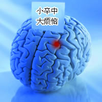 ��ע��ֻ����һ��