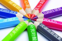 ר���������ѭ�����򽹵㻰�⡪��2008 CHIEF��ɳ���龫�ʻع�