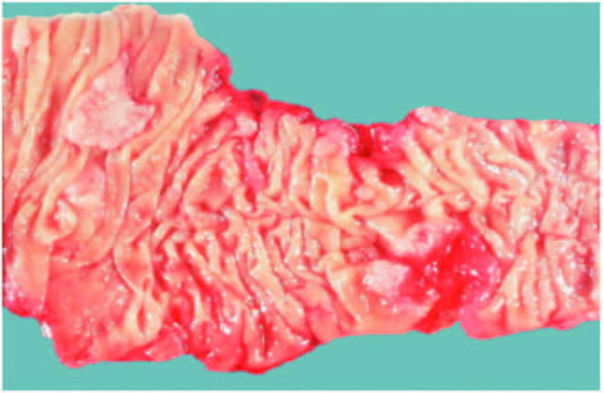 ��֤ʵ���а���Ǳ�ܵĴ�Ϣ��