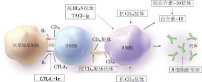 �Ǵ������������°е�