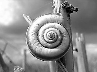 �����Ͼ� �ı��Ͼ�