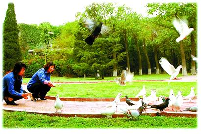 ÿ���ն�һ��