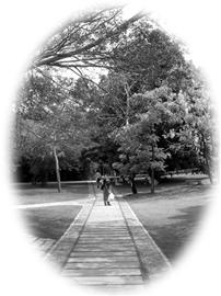 ��ɢ����Ե